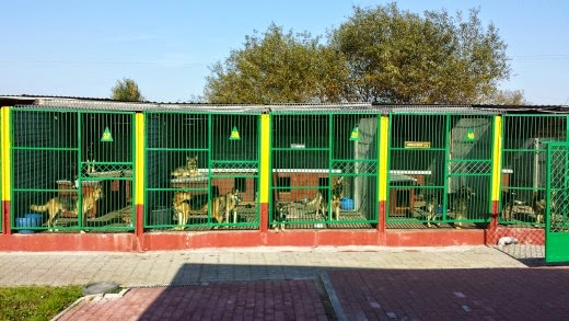 Białogard wybuduje nowe schronisko?